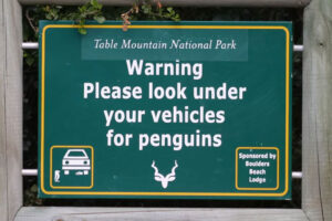 Boulders Beach Parking